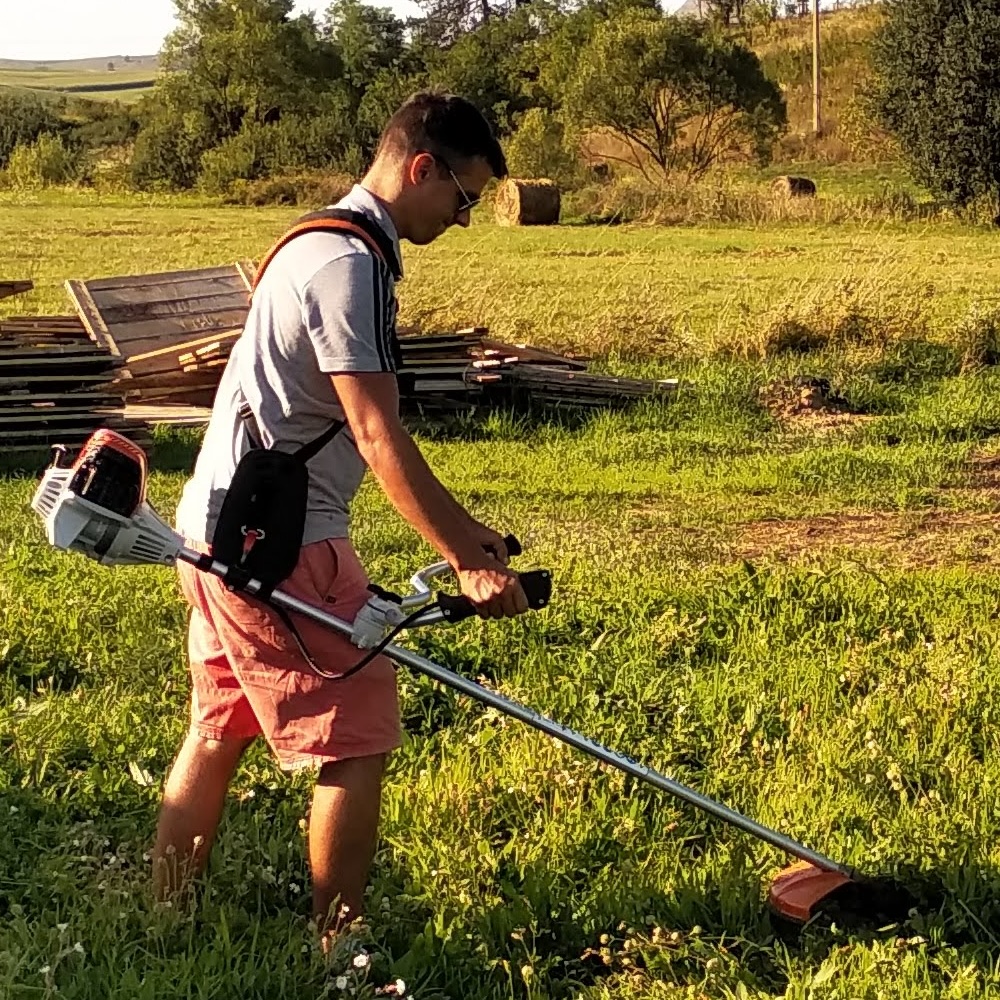 Florin Birgu, founder of ProScape AI